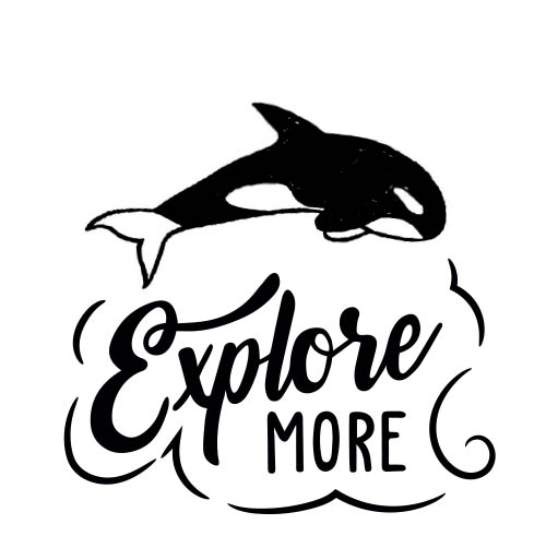 Explore More Orca